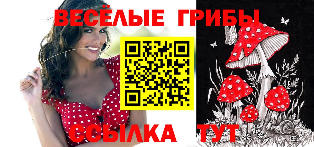 Галлюциногенные грибы MAGIC MUSHROOMS Еманжелинск